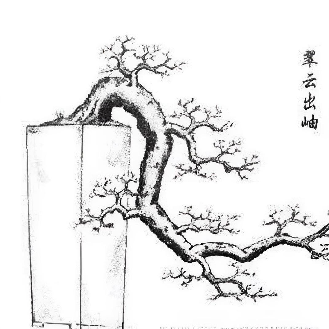 良缘盆景