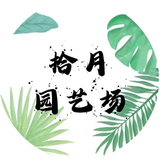 拾月园艺场