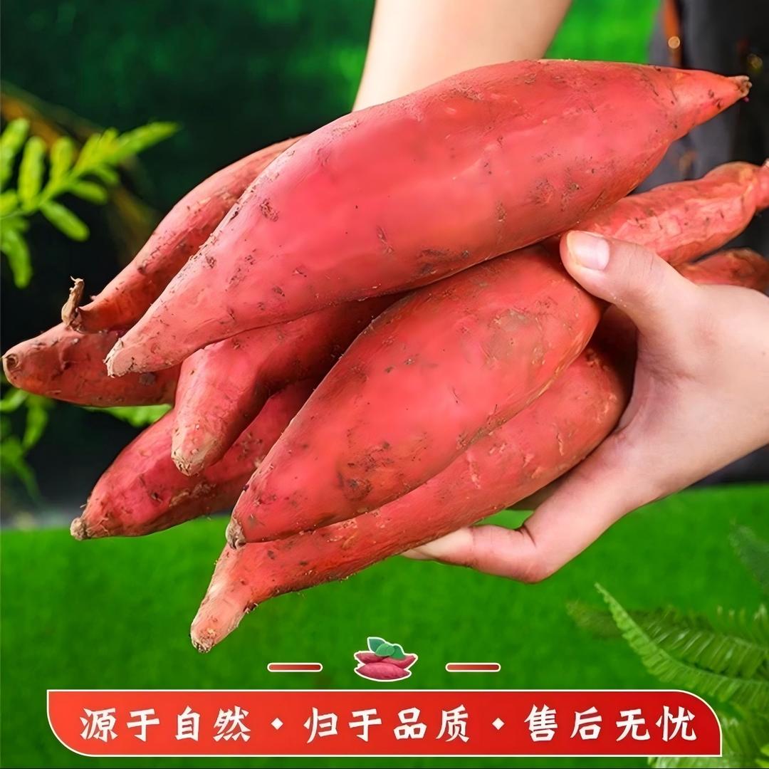 天津美祺阿妹农产品