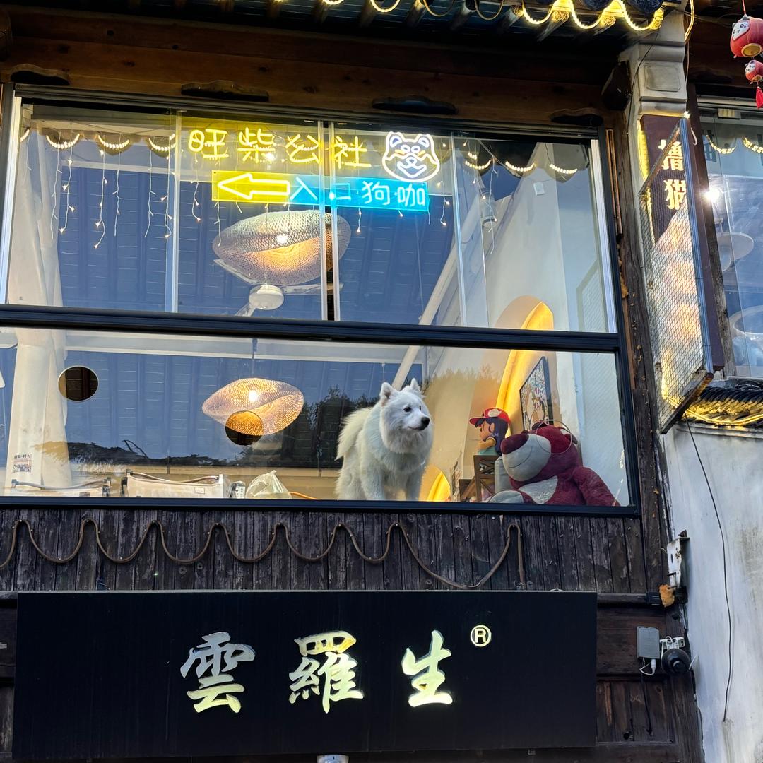 迢迢