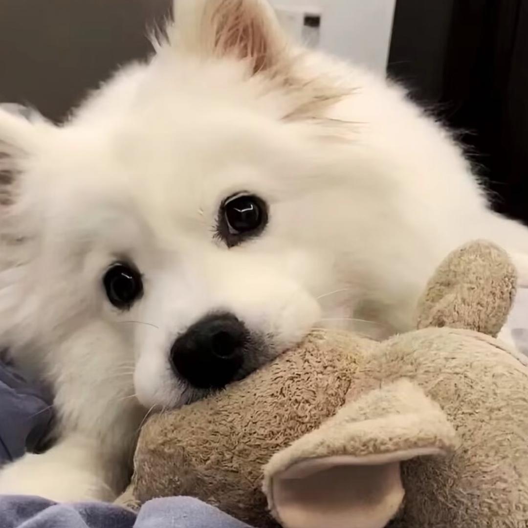 。。。