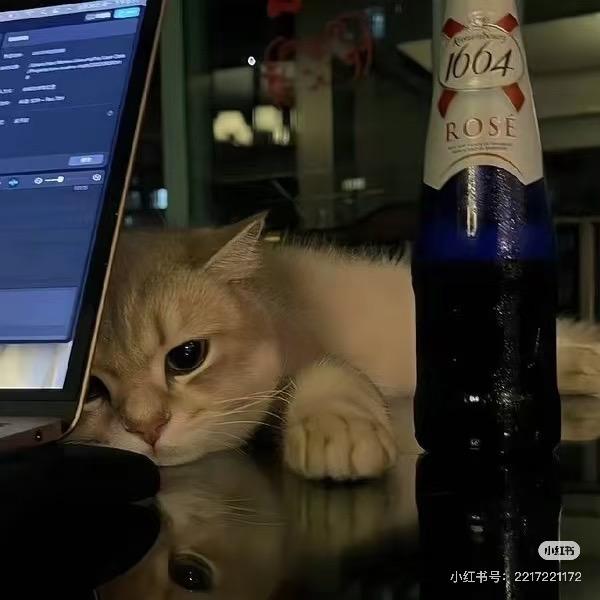 小歆呐