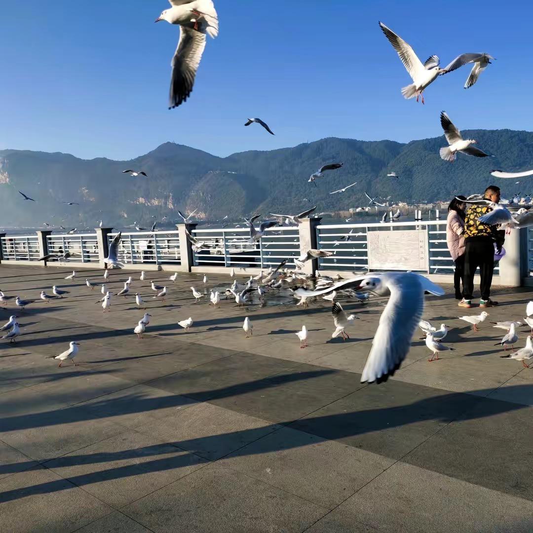 成都凯蕴致淳商贸有限公司3