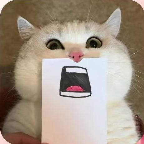 陈小鱼