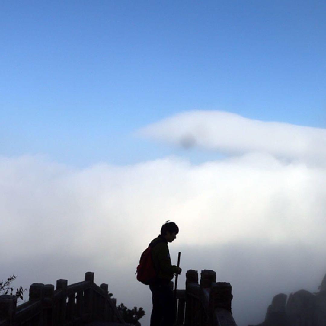 投资的智慧@抖音