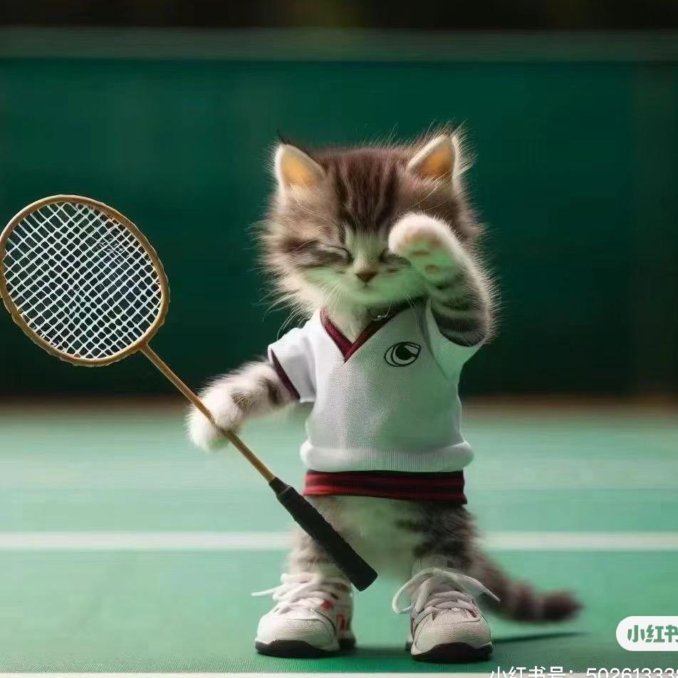 🏸粉末🏸