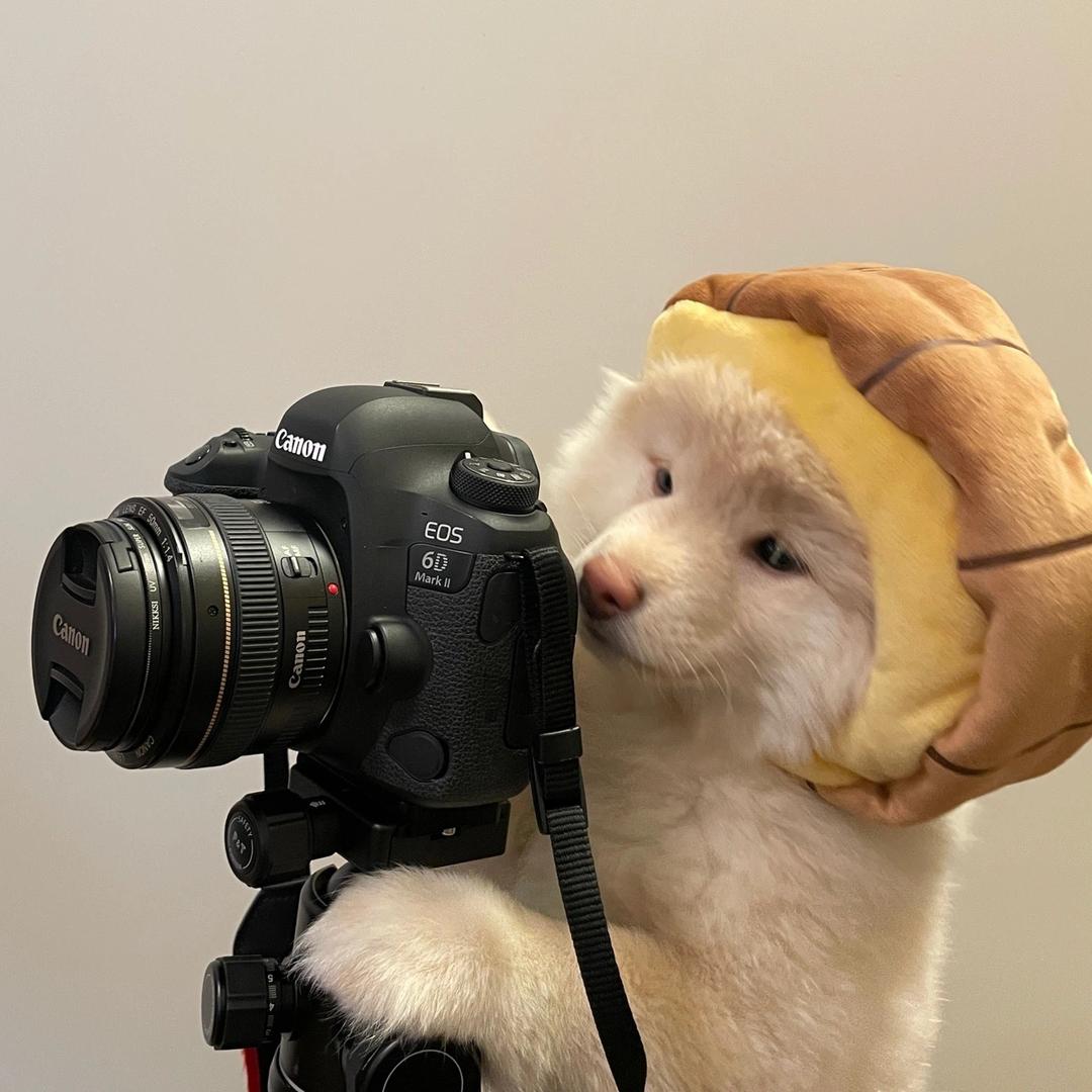 小杨爱摄影📷（私人版）