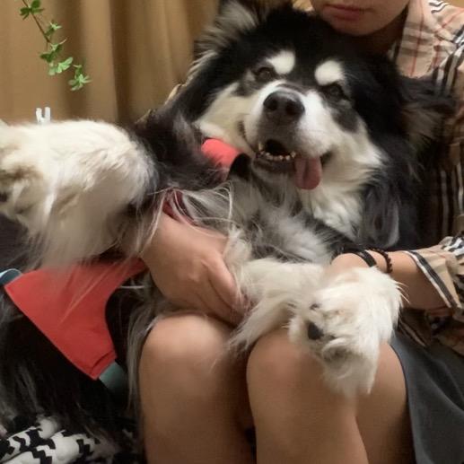 一个小刘