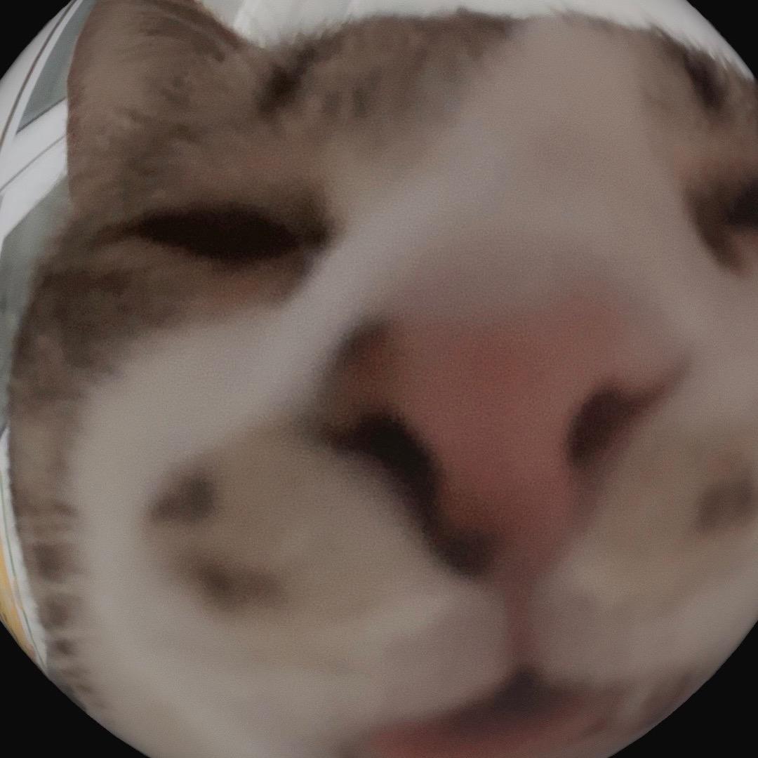 16崽的人间生活实录