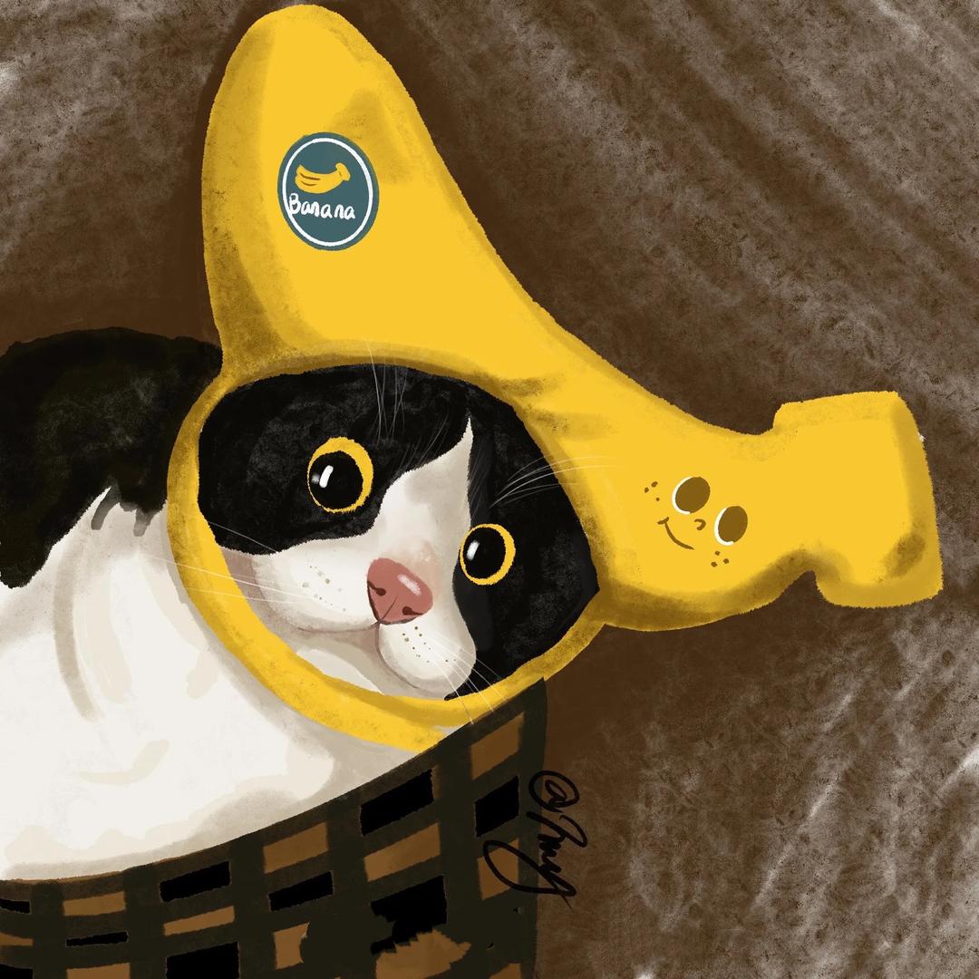 嗡嘛呢叭咪吽💭