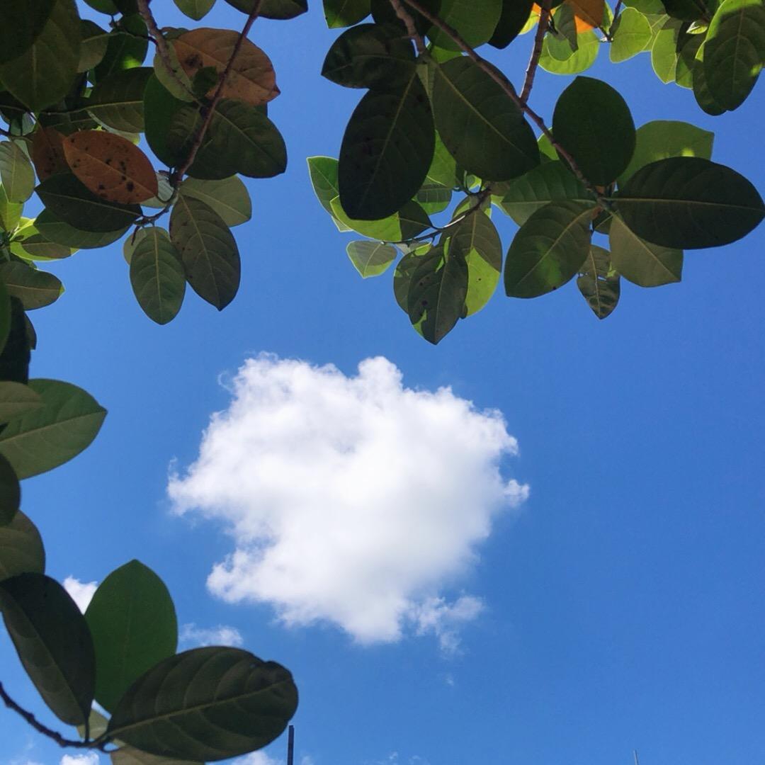 阳江表哥🇨🇳