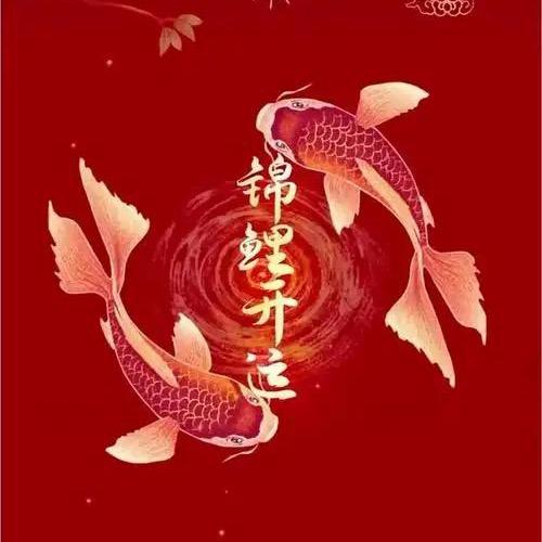 【九平】锦鲤宝贝