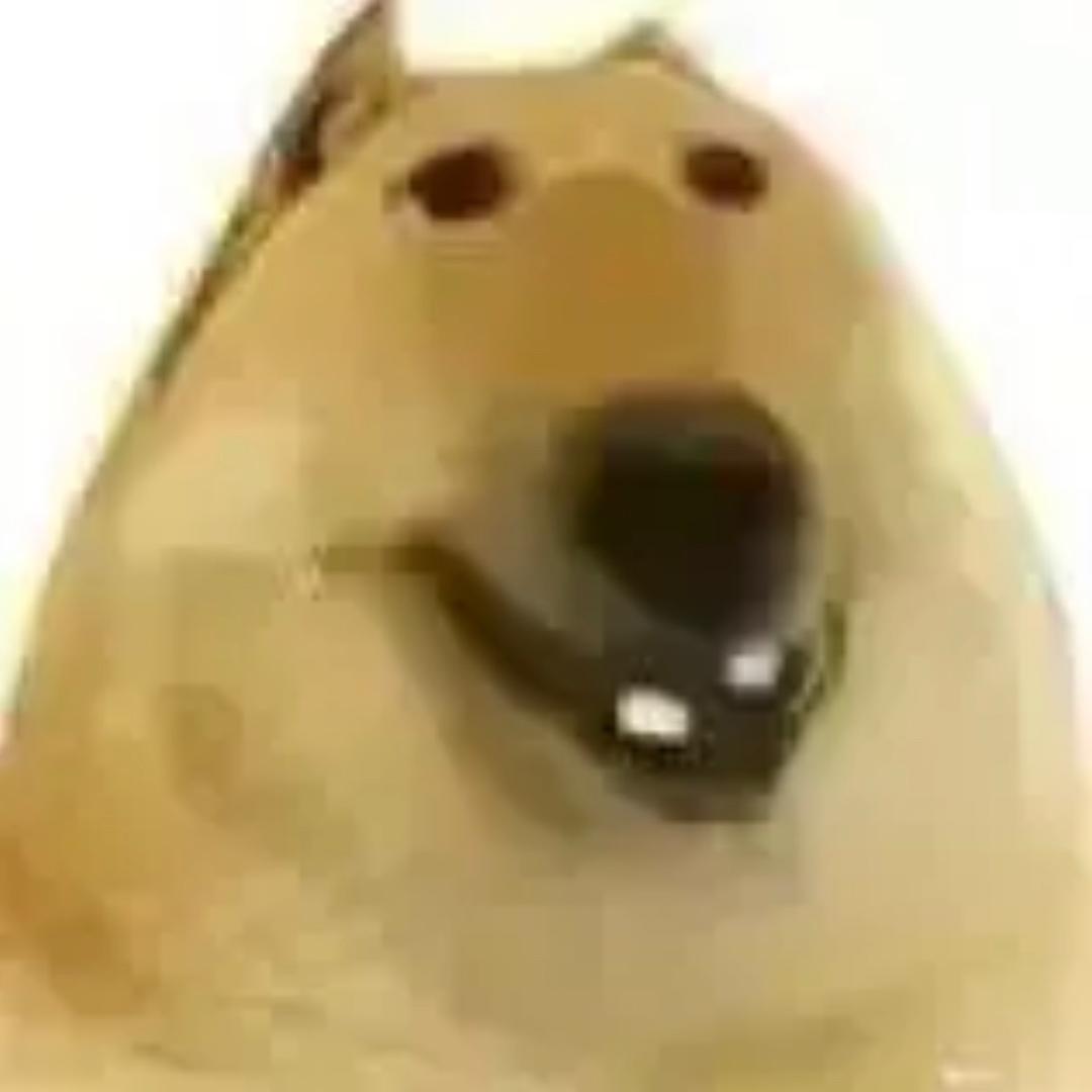 你的佳佳
