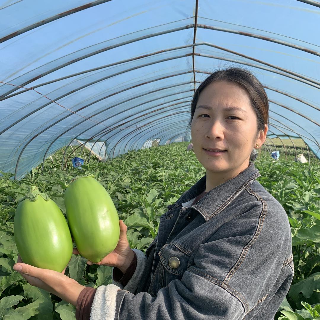 园园蔬菜店