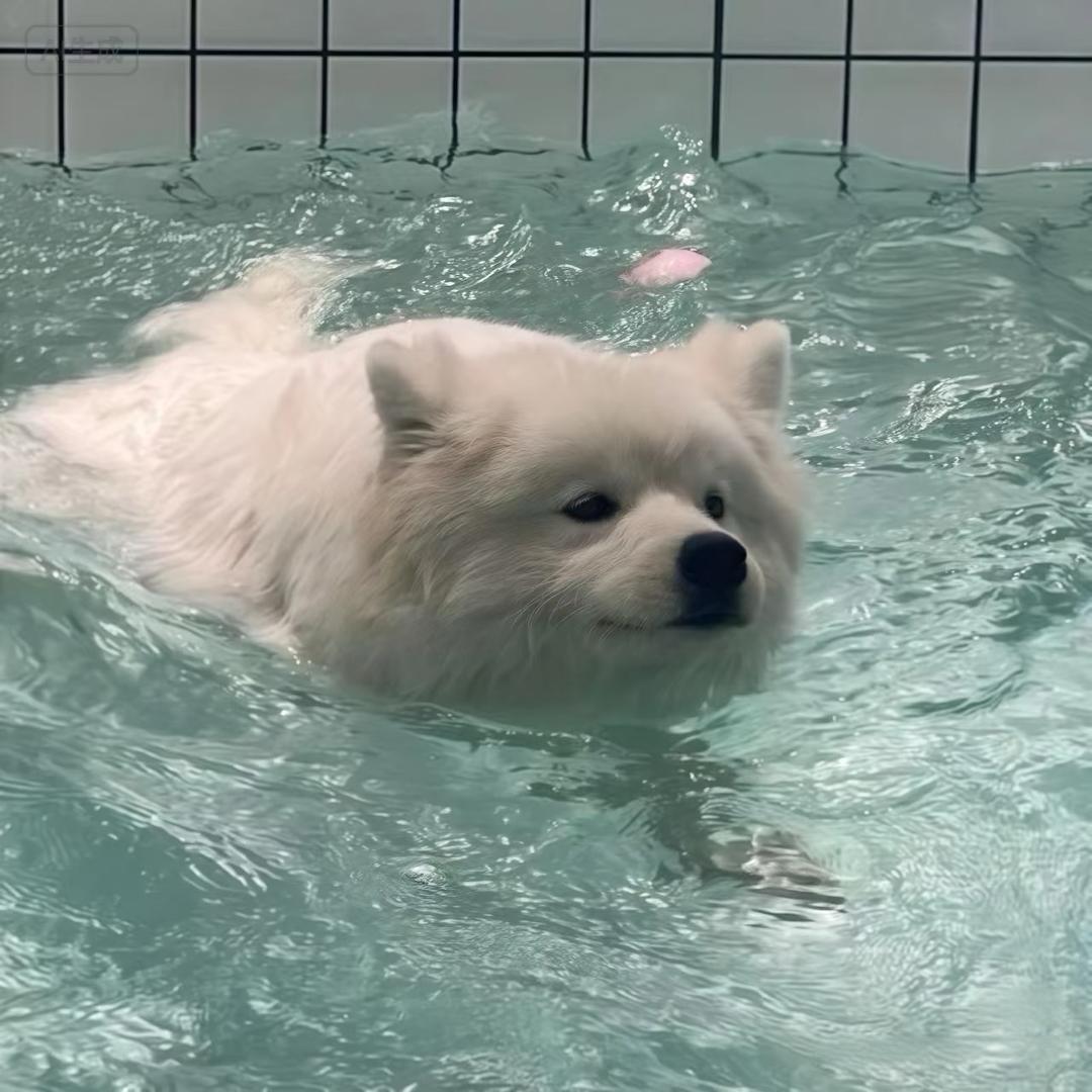 茗茗之中