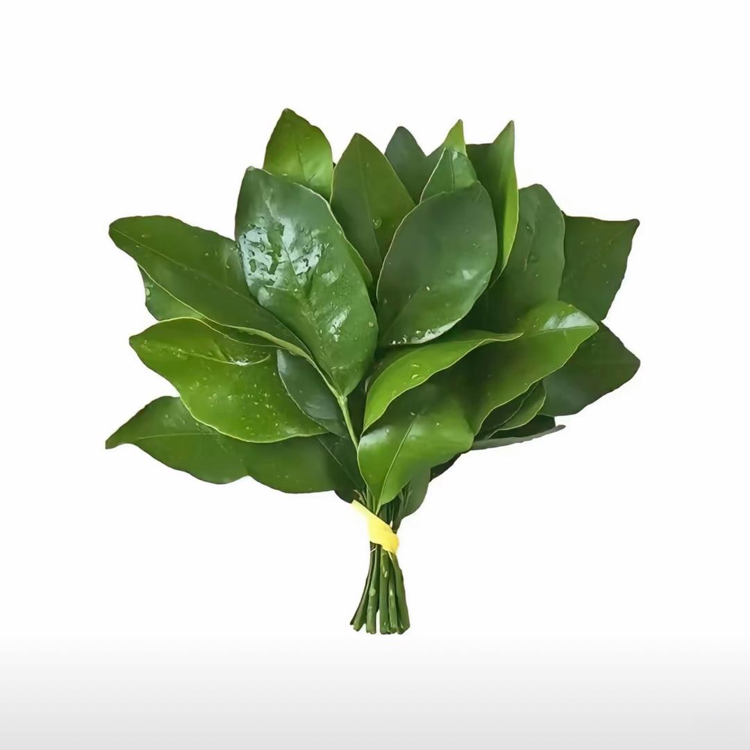 没哥帅就闭麦🧁