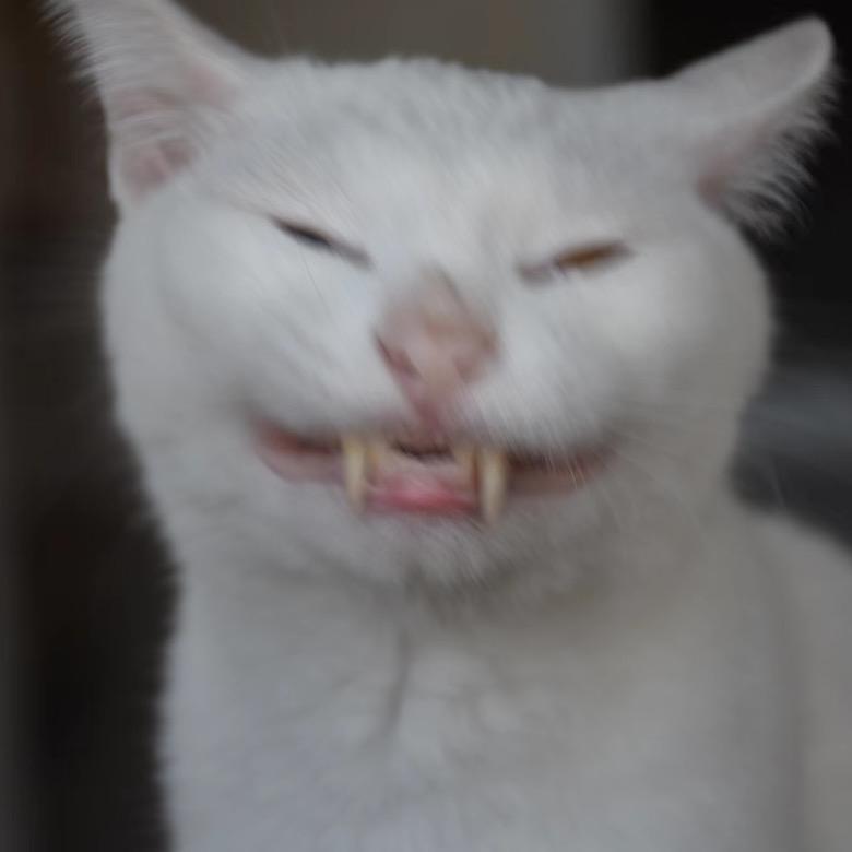 富贵的朋友圈