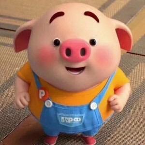 小🐷猪