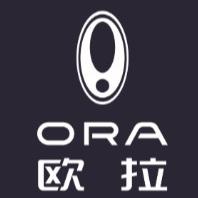 长城欧拉四友元丰店