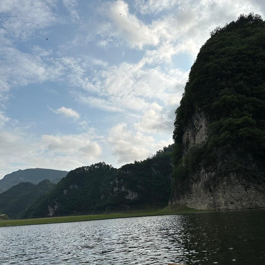 大娃有鱼