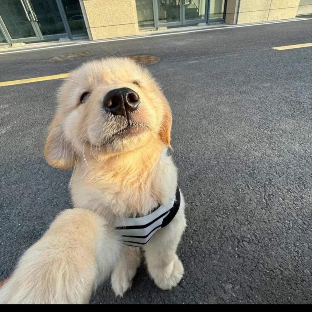 追梦人3