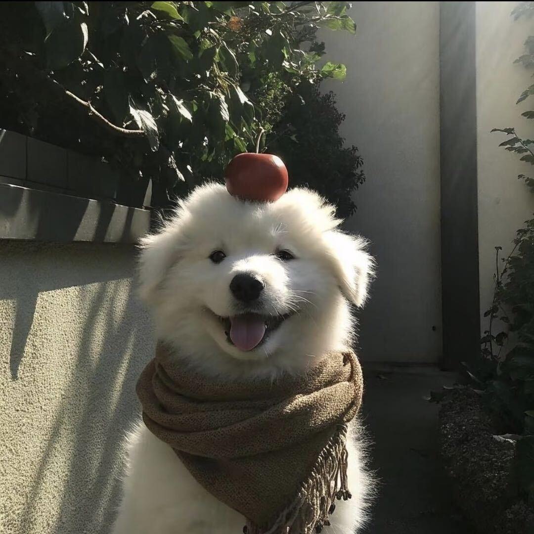 林林jc