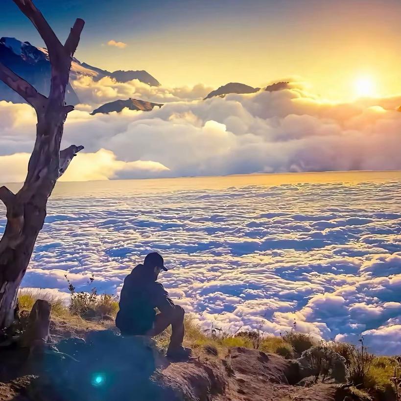 泰安城市酒旅直播