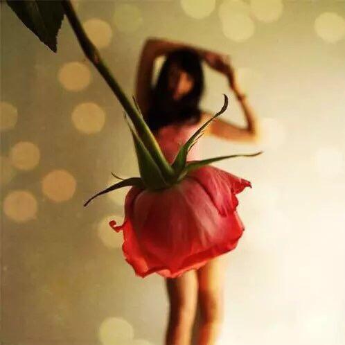 星期八的自由行