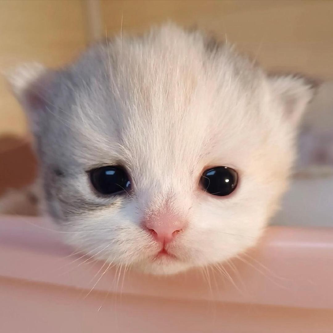 你很可爱所以坏点没有关系