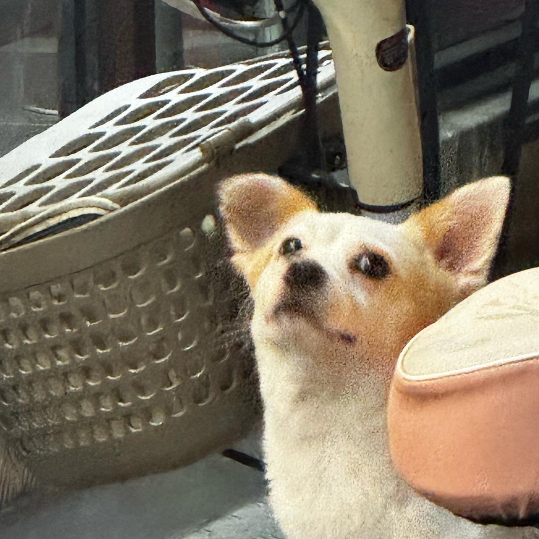 ——-？
