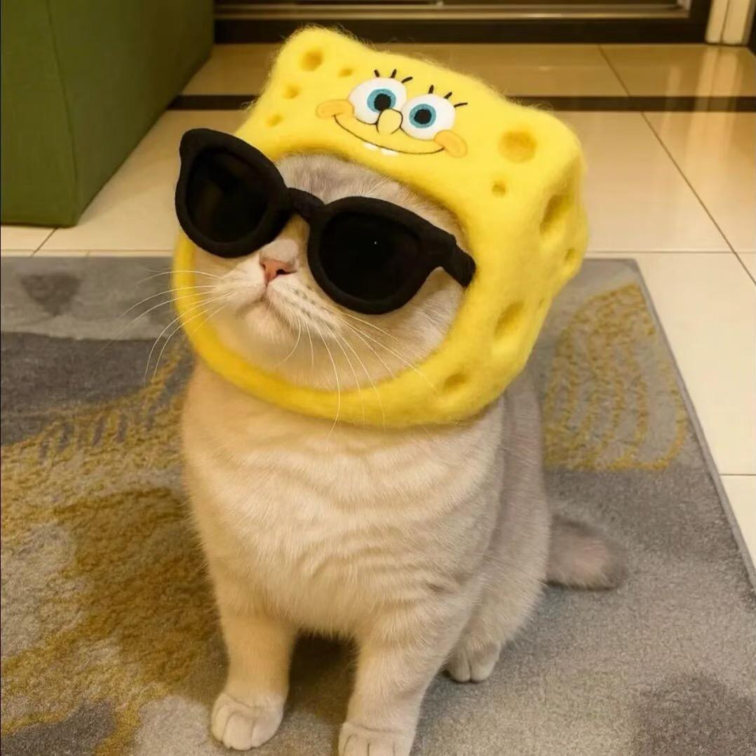 快乐煎熬小运营