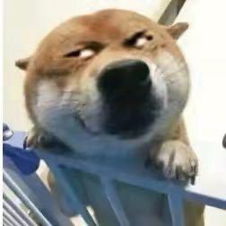 XXg