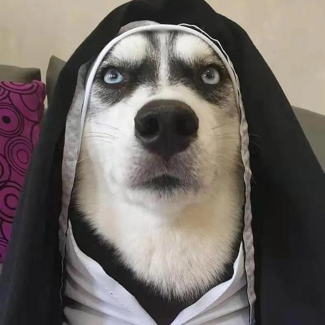 最后的自由@抖音