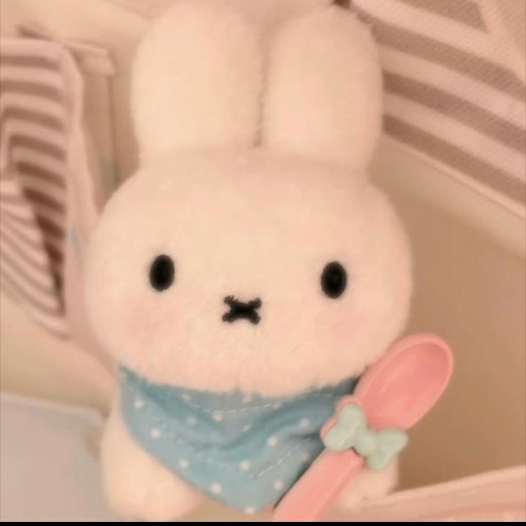 半岛铁盒-