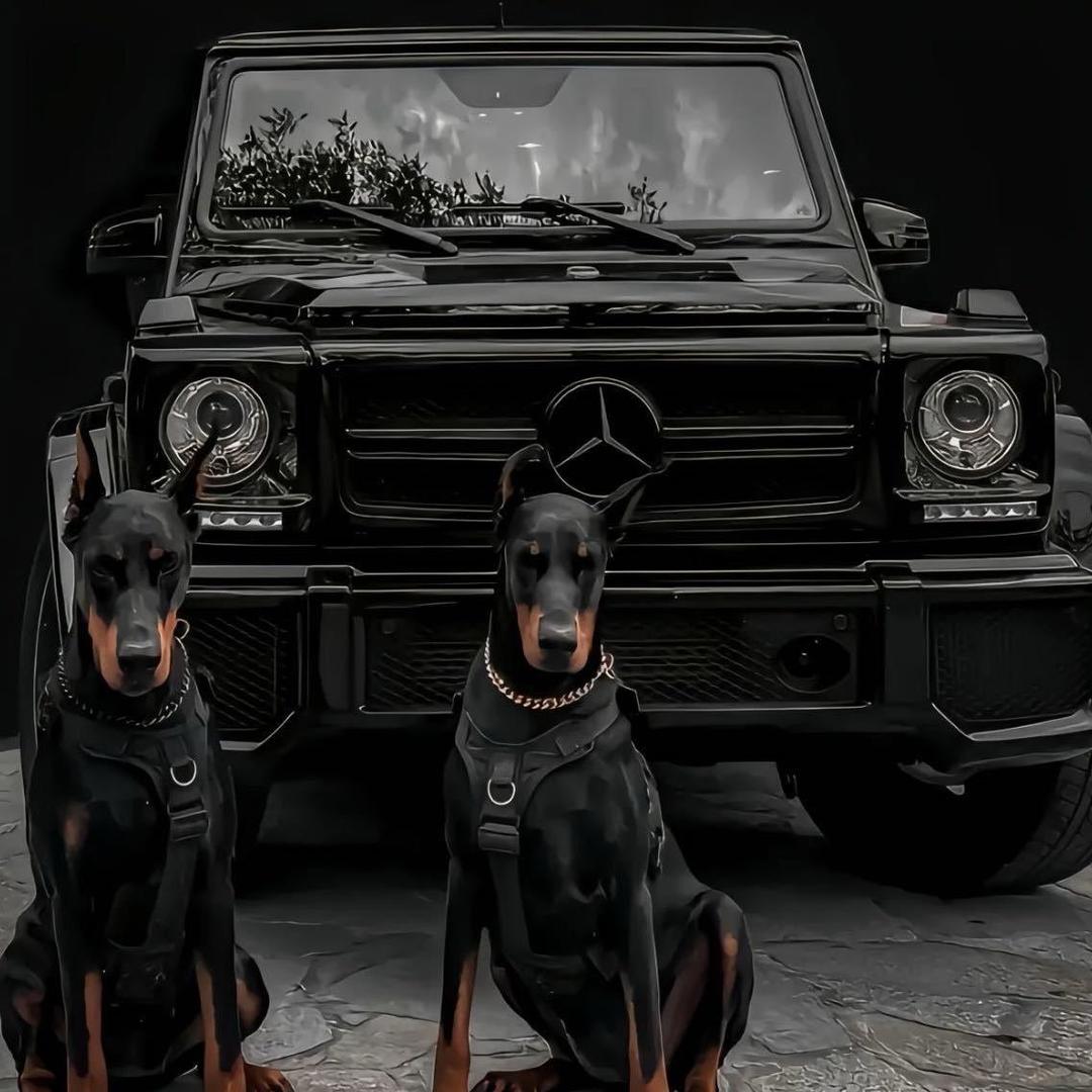 成都宇老板半价车（直播号）