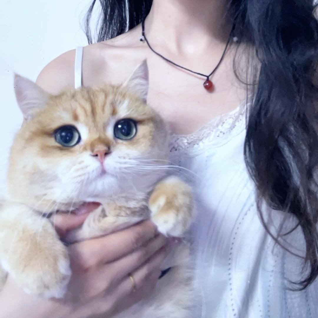 万事胜胜胜意