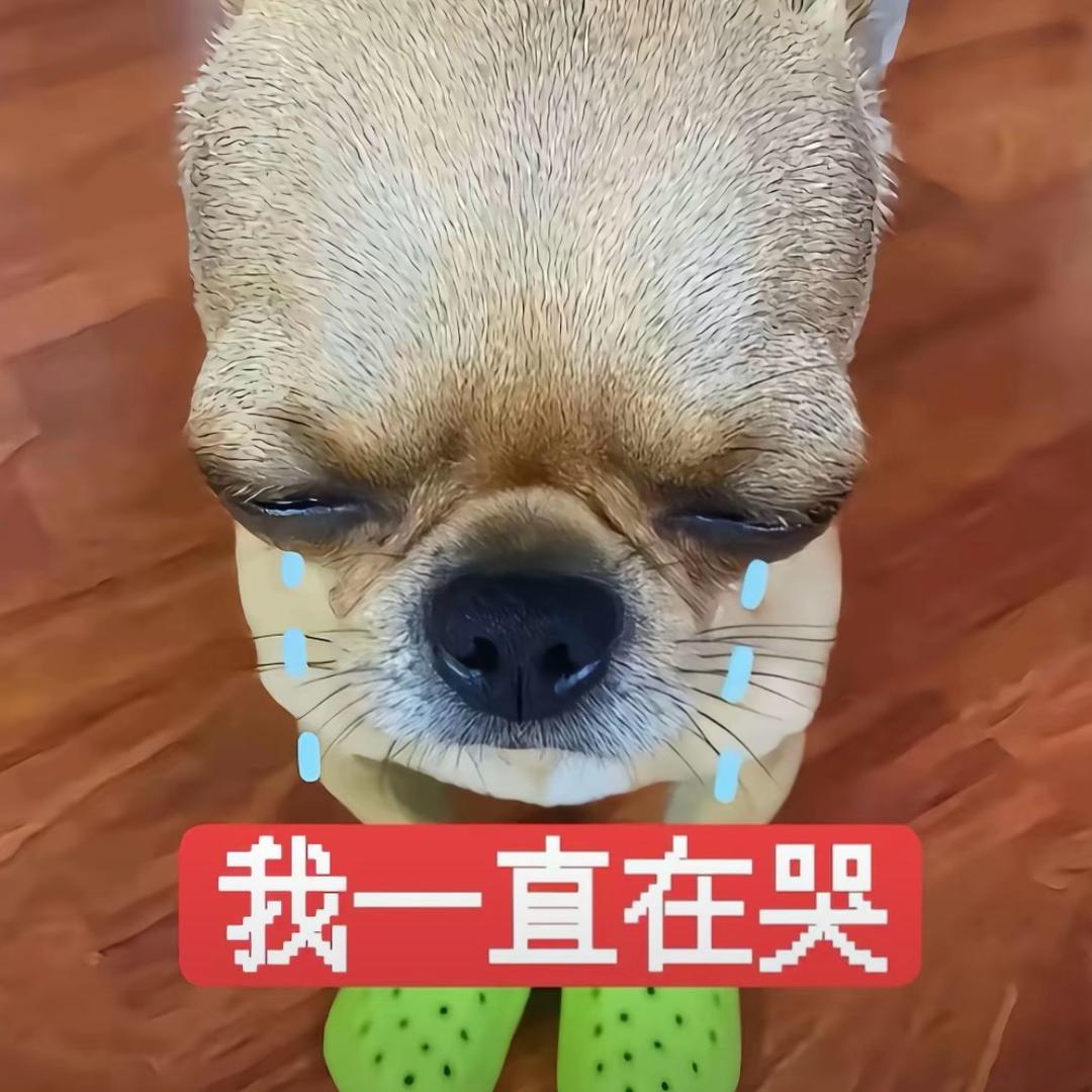 麻辣狗儿