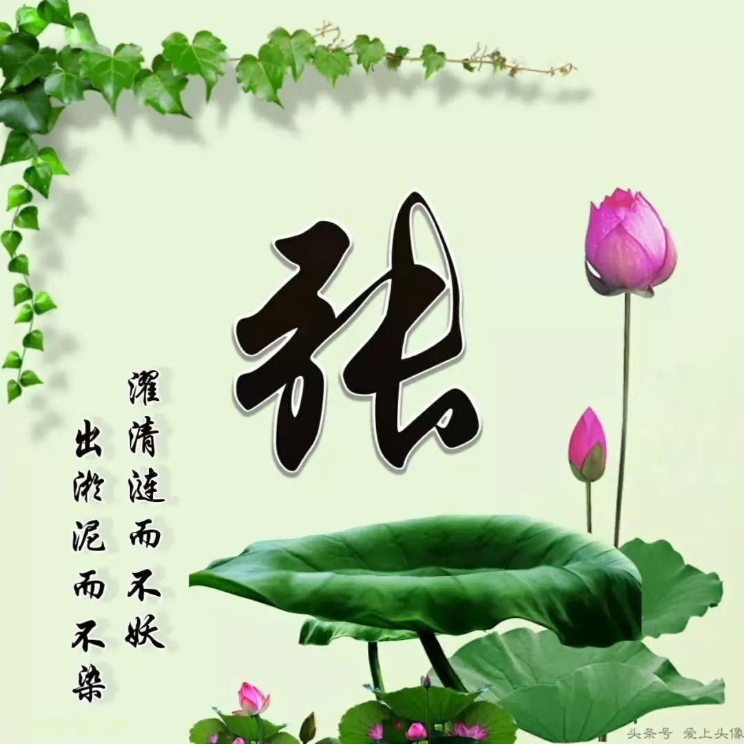张阿姨！拒绝私聊！私聊拉黑！