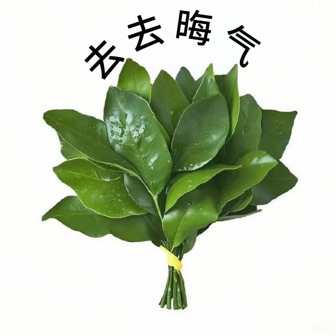 ～