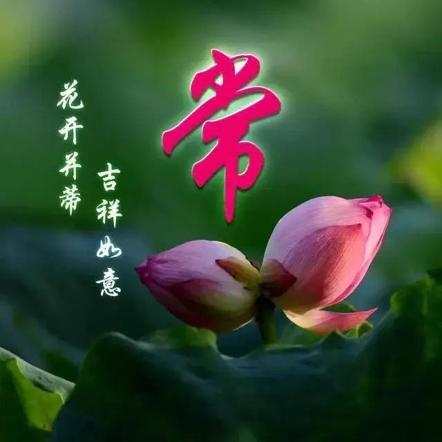 花开、。富贵@🌹