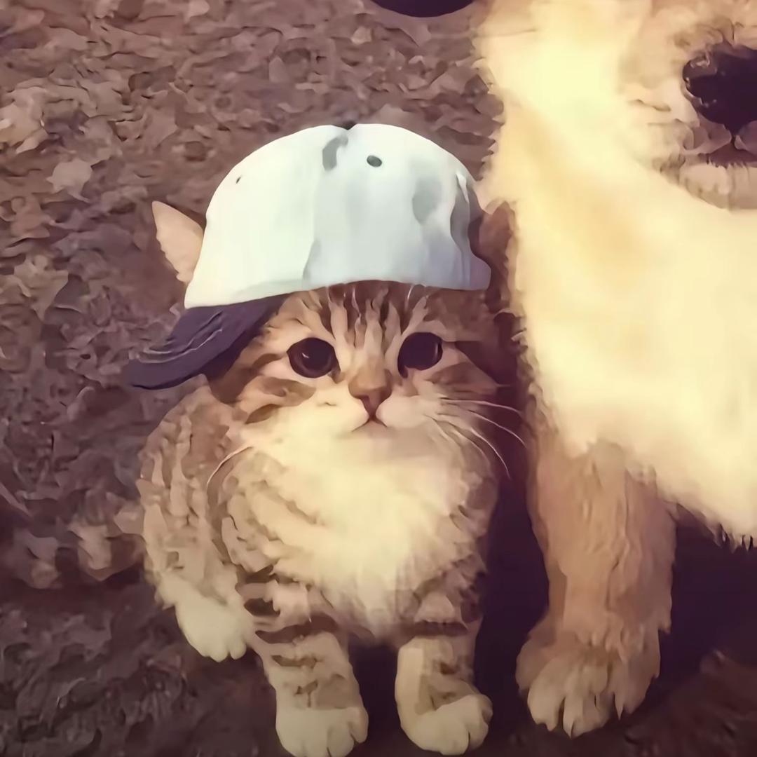 鱼粥粥