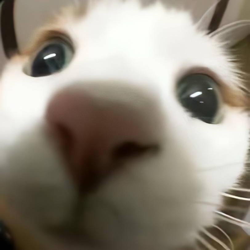 喵脆角