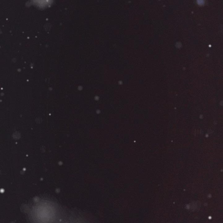 骏马奔腾