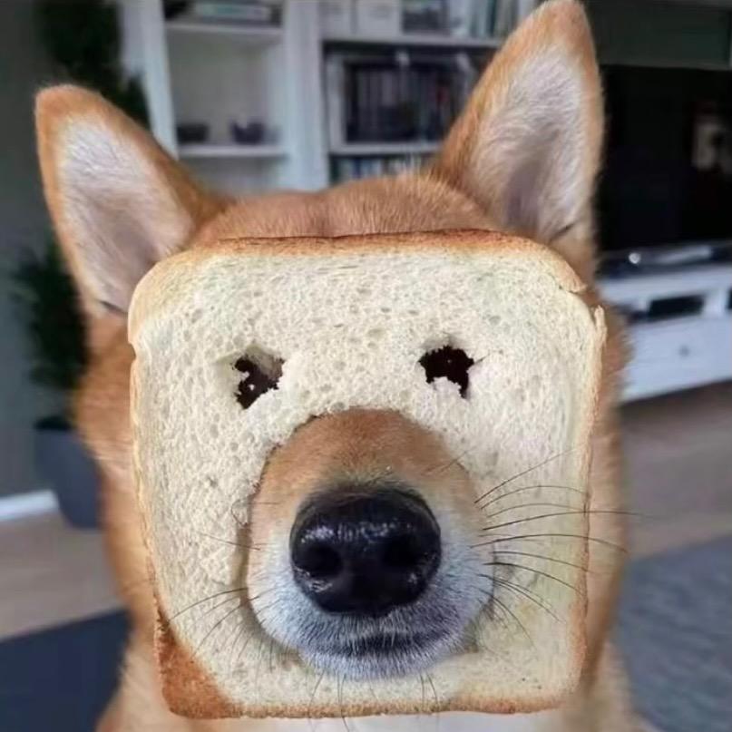 ㄣ莣孒ㄣ