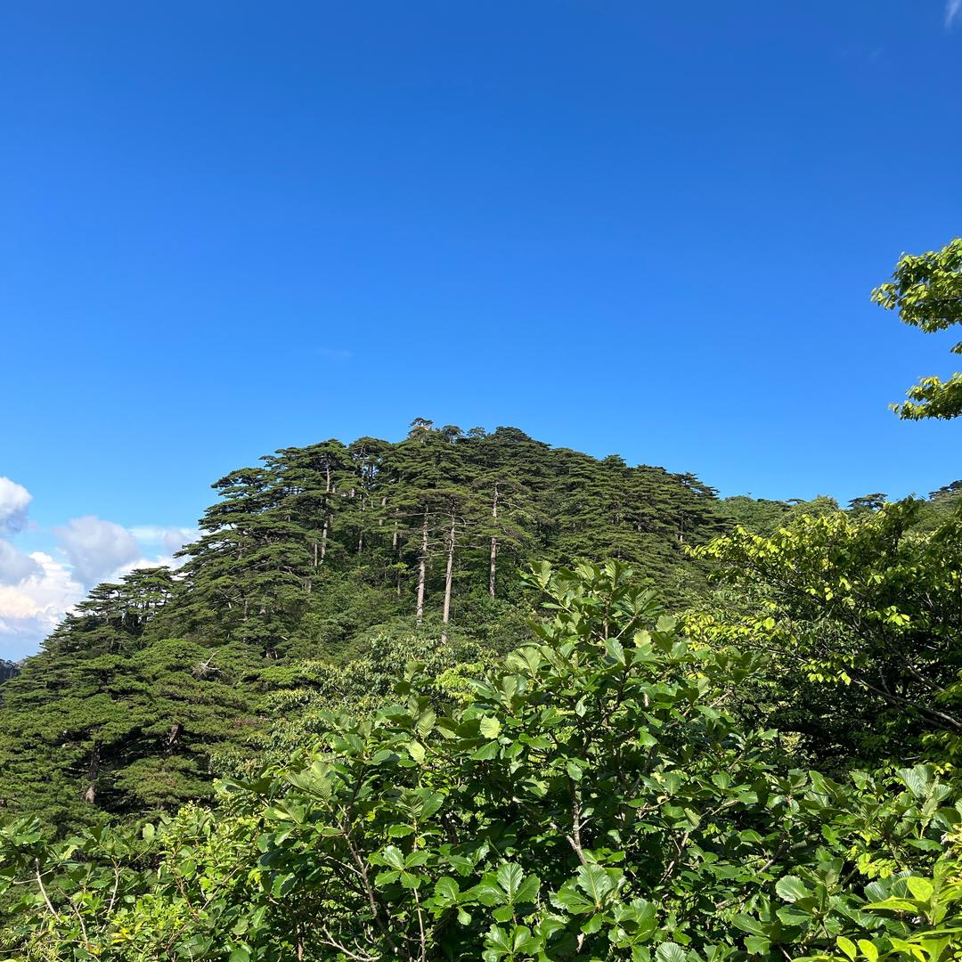 回眸一笑(✺ω✺)