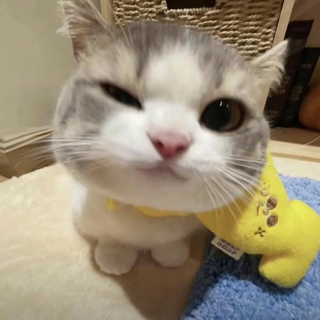 随奕