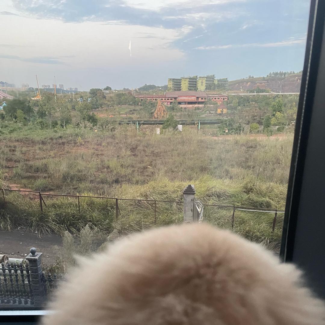 饼干（祝1000粉丝）