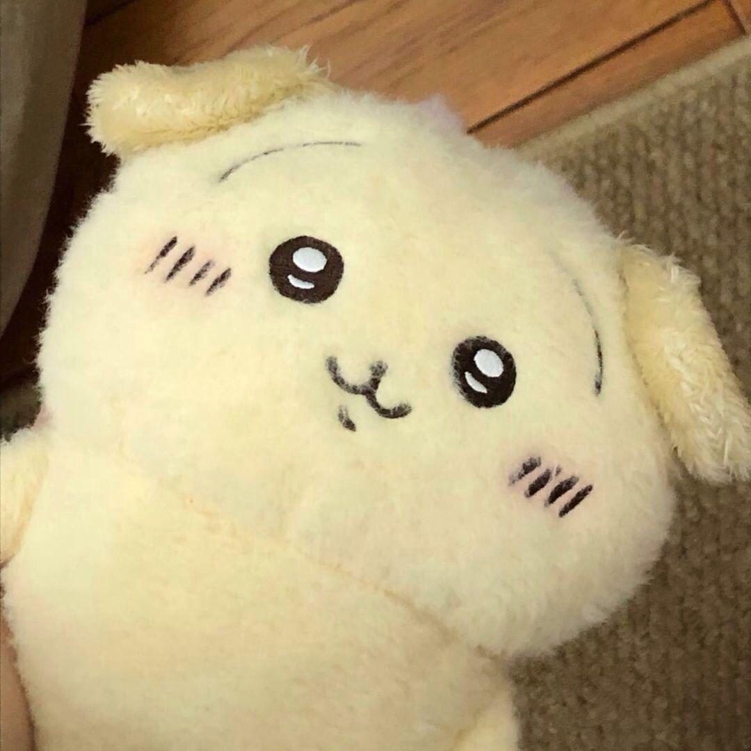 小y