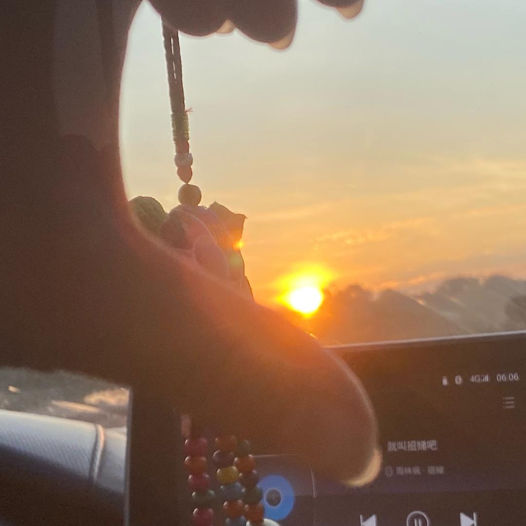 🥰幸福的猪🦋💞ღ(✞╹◡