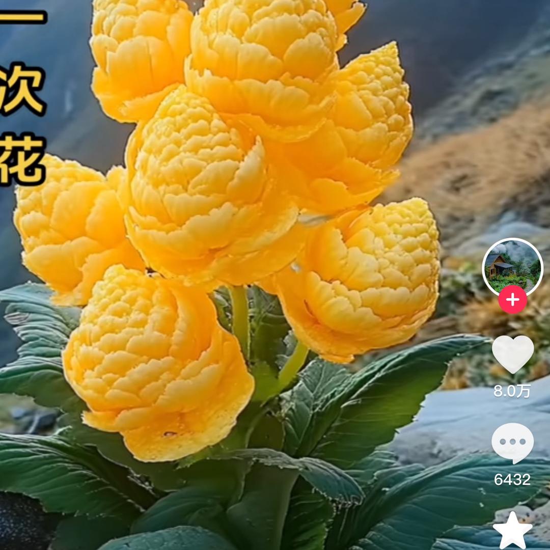 日落归山海，山海有深意